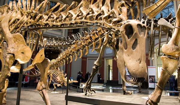 Field Museum at Chicago